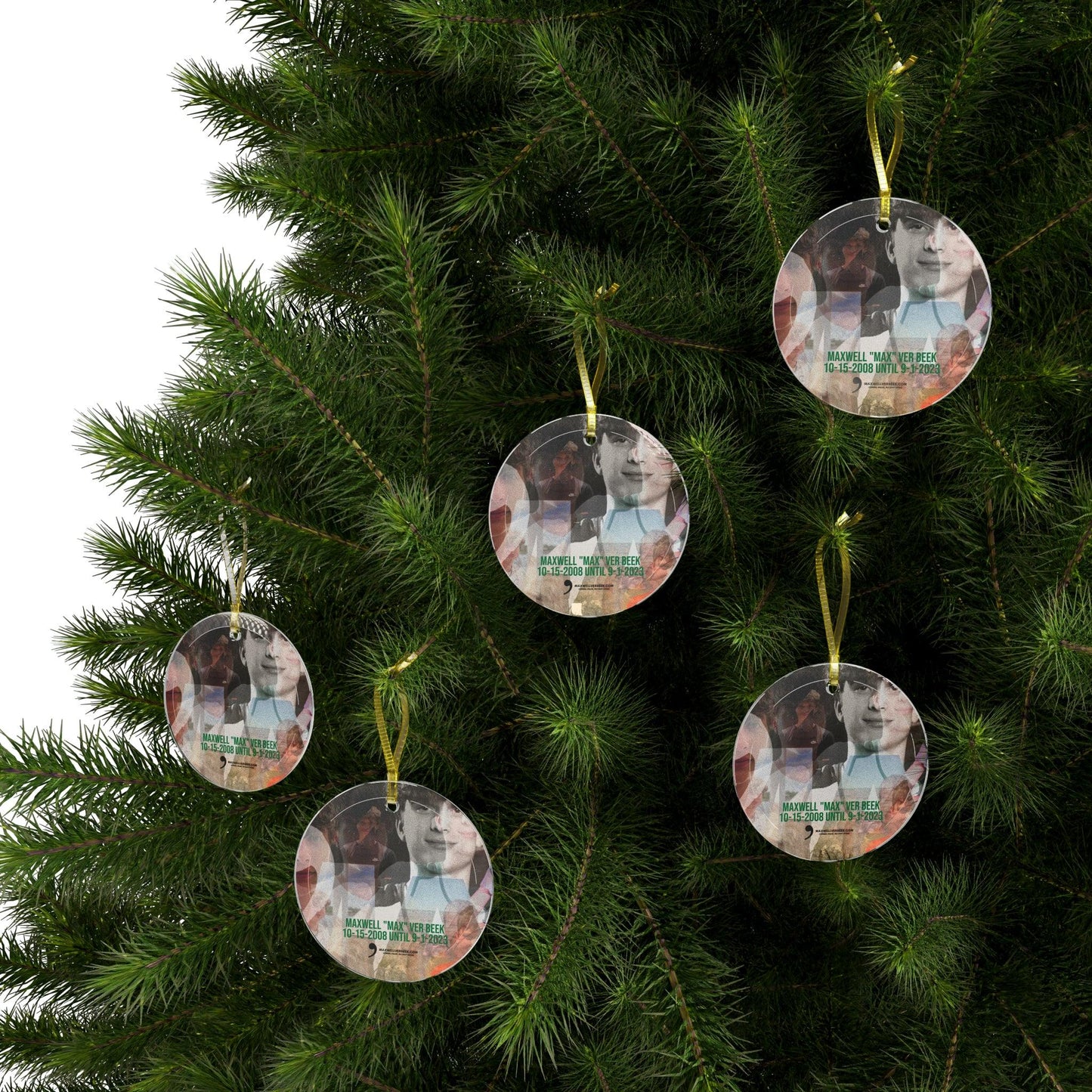 Maxwell Ver Beek Memory Glass Ornaments