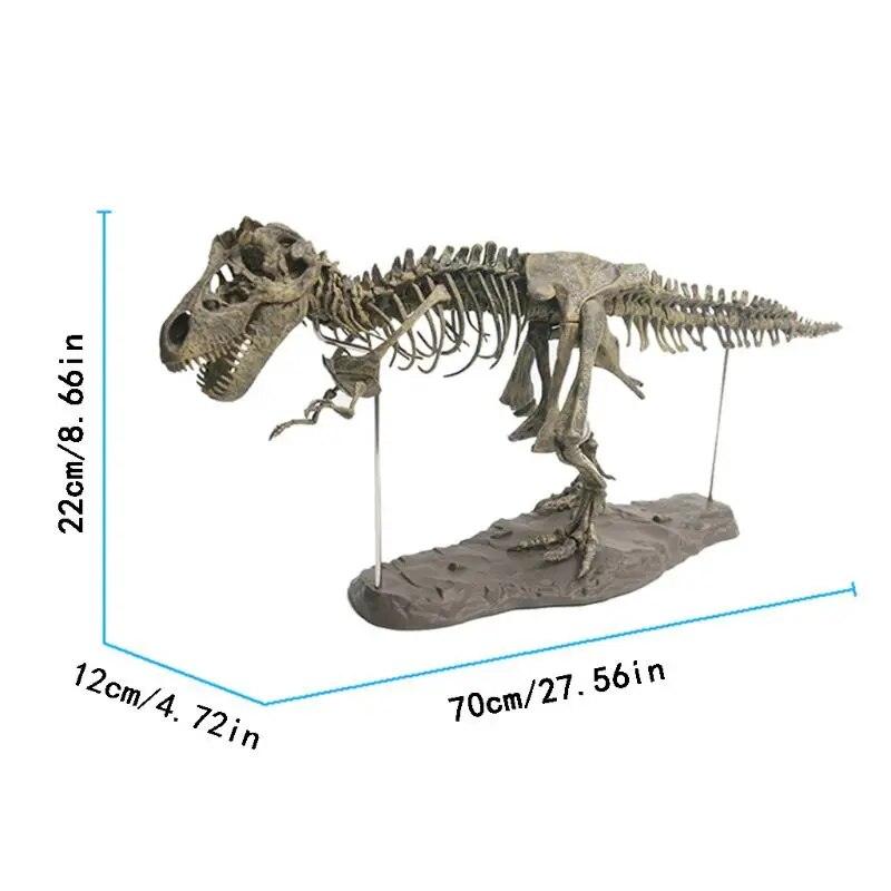 T Rex Tyrannosaurus Rex Skeleton Dinosaur Toy Animal Model Collector