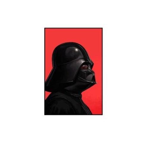 Star Wars Movie Canvas Art Paintings Poster and Print Black Warrior