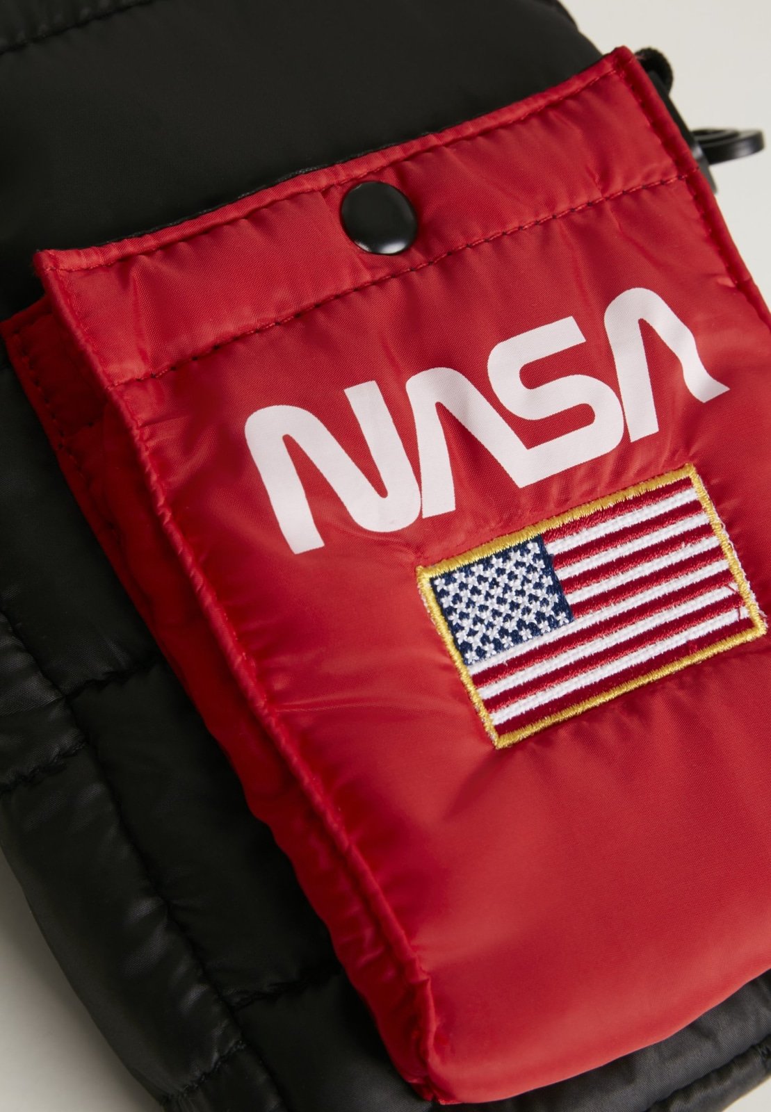 NASA Festival Bag