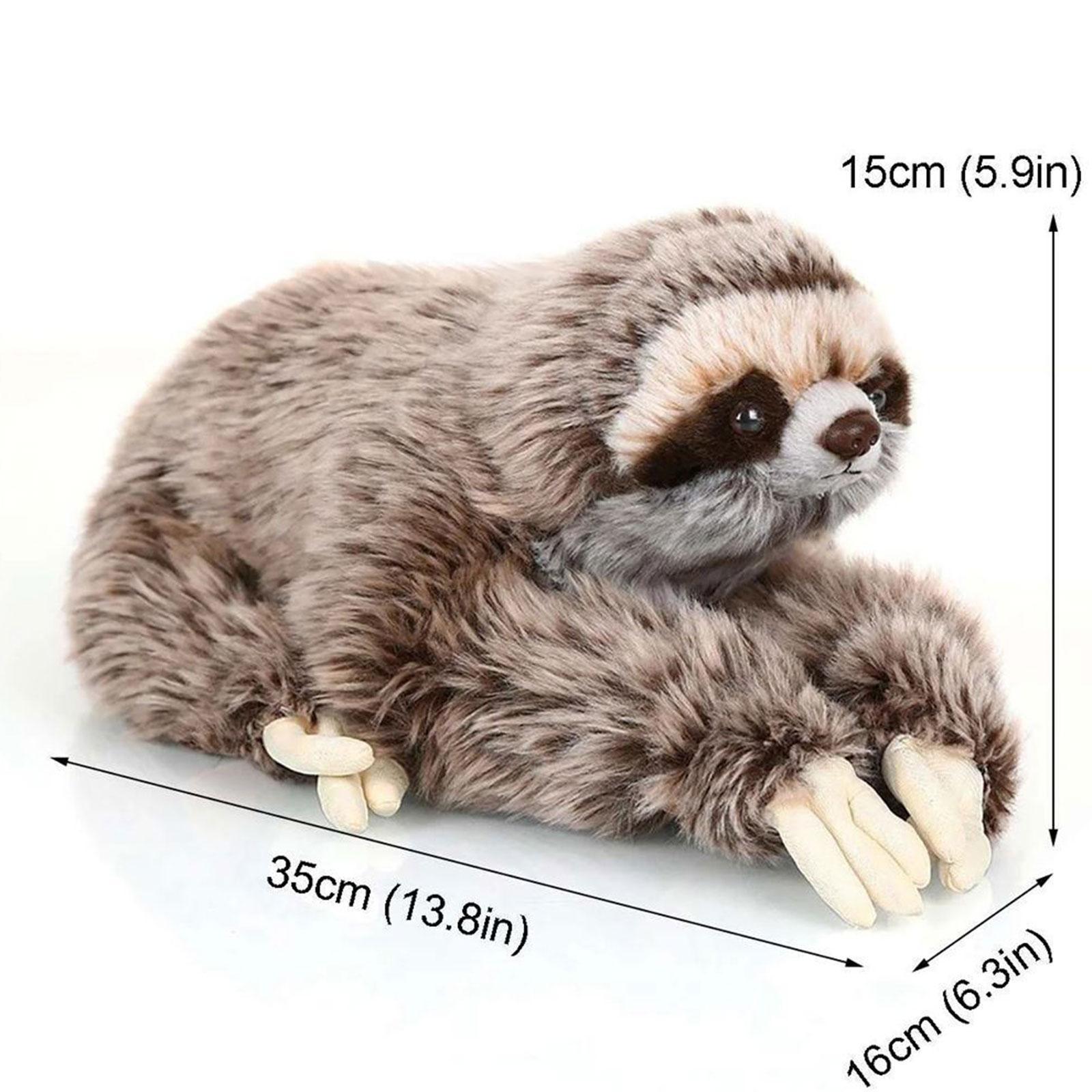 35CM Cute Realistic Three Toed Sloth Plush Stuffed Animal Toy Soft - MaxwellVerBeek.com